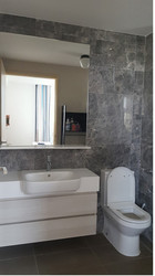 The Luxurie (D19), Condominium #178198952